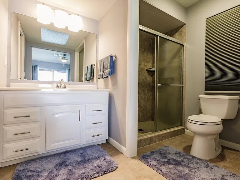 Master Sink and shower