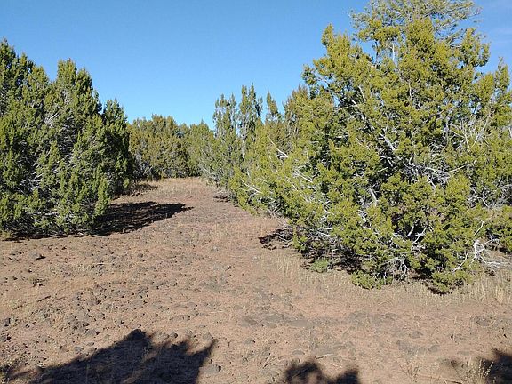 3rd image of 91 County Road 3319 N