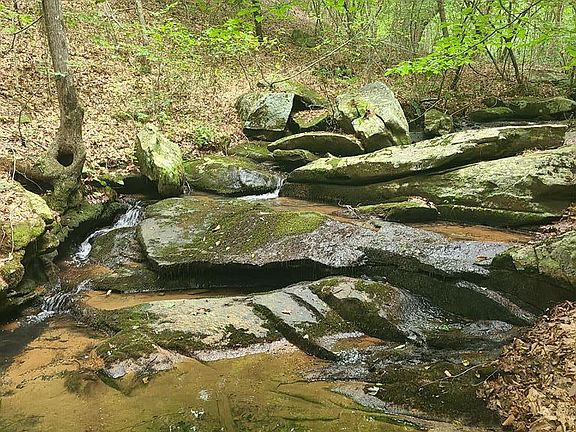 5th image of 361 Whiskey Falls Ln