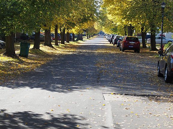 Wellington Road, between Tacoma and Tauton. Welcome to a quiet, friendly neighborhood