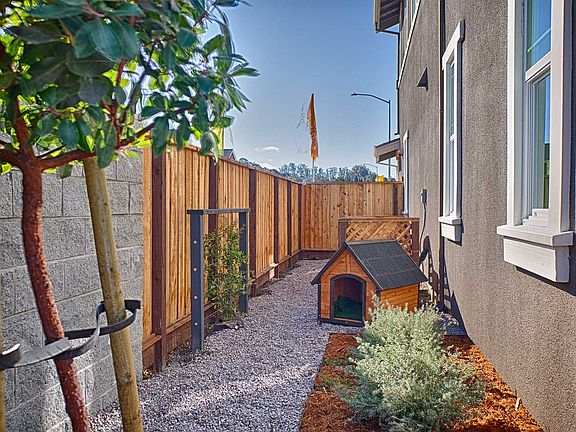 Plan 7 - Backyard
