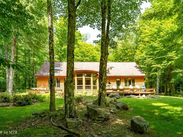 1 Poplar St, Davis, WV 26260