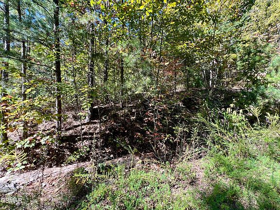 5th image of 5.61 Acre Creek Hollow Way