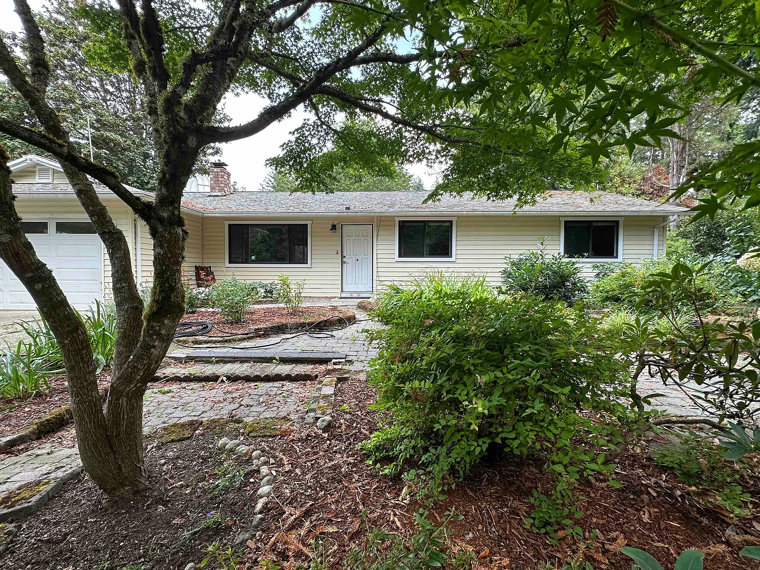 3 bed, 1381 sqft, $3,500 — Photo 1