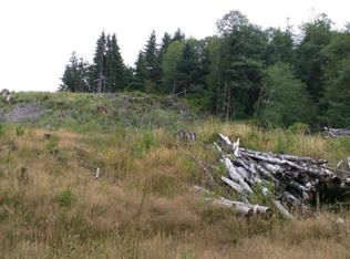 1211 Smith Creek Rd, Raymond, WA 98577