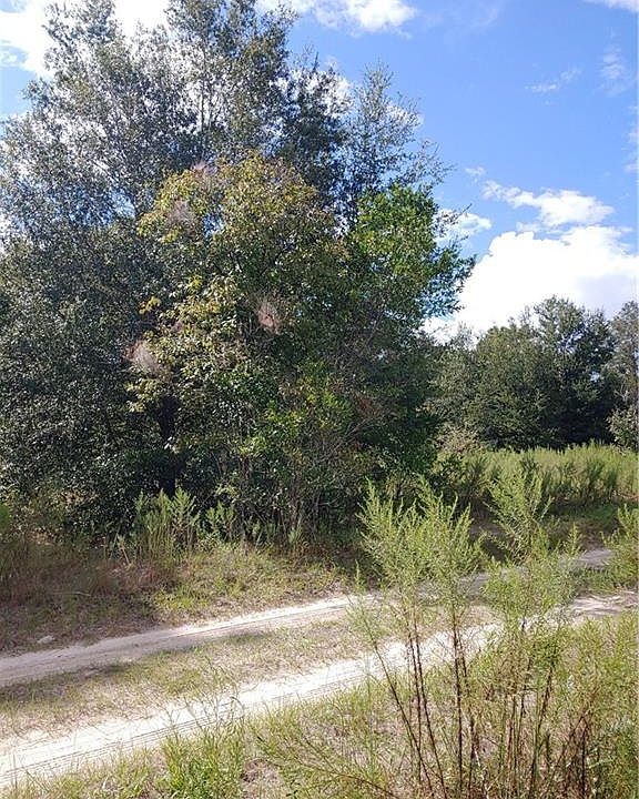 2nd image of 803 Long Ave