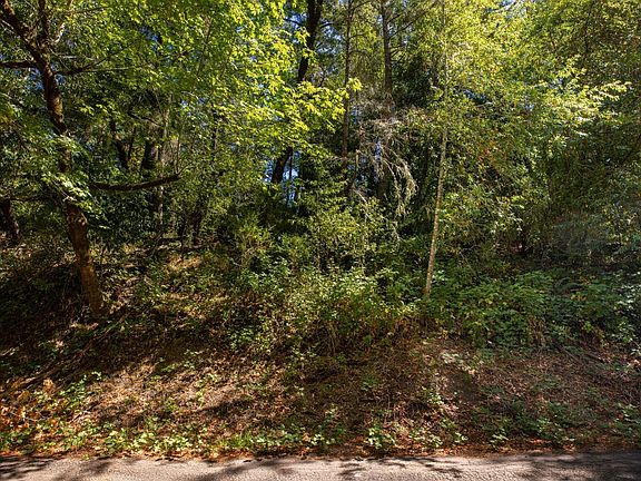 3rd image of 1260 Camp Meeker Road