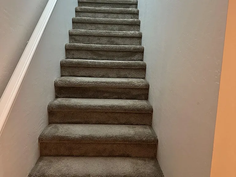 Carpeted stairway with a sturdy handrail and neutral wall finishes, providing easy access between levels.