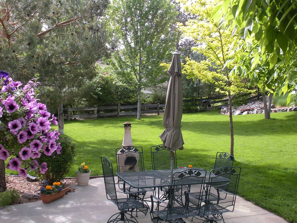 Back Yard - Patio