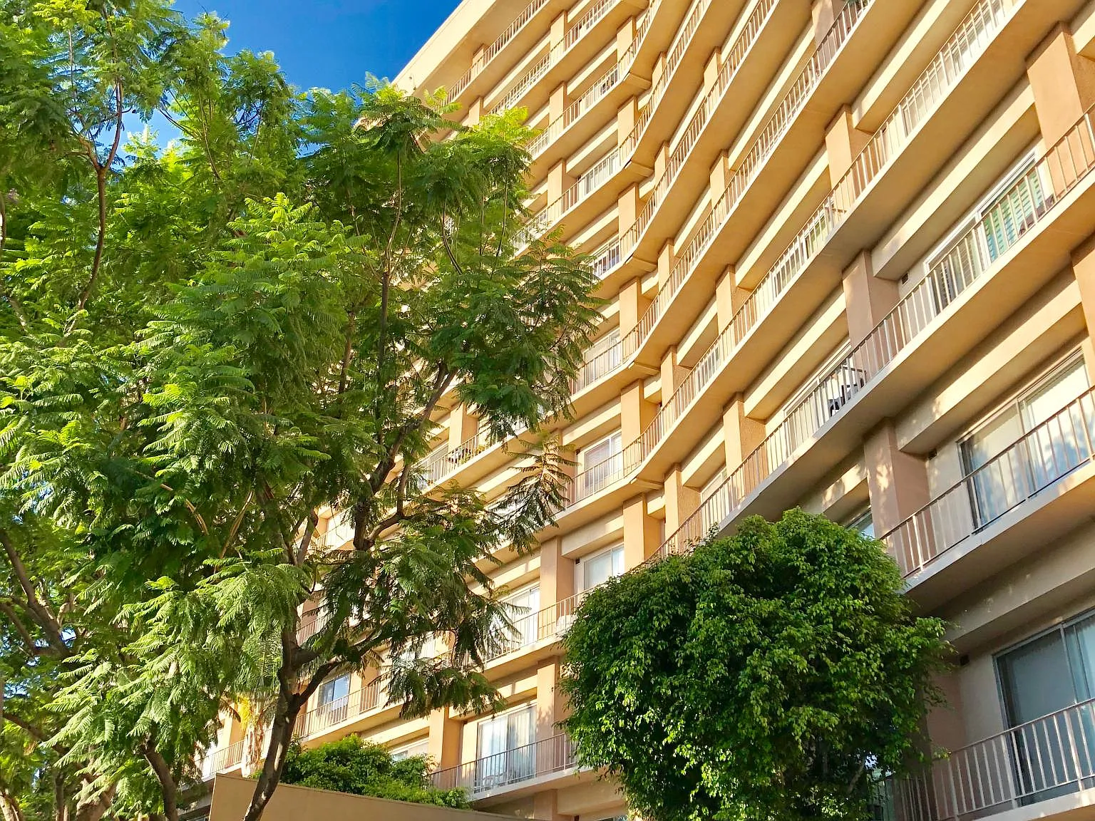 1 bed, 1.5 bath, 840 sqft, $3,300 — Photo 4