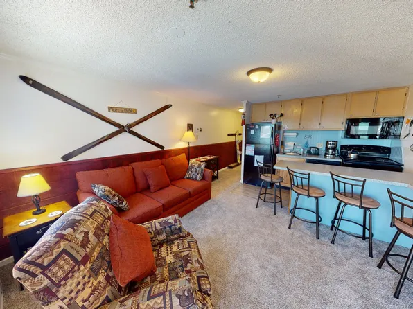 206-75 Mountain Lodge Ln, Snowshoe, WV 26209