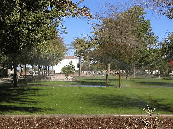 Treelines street