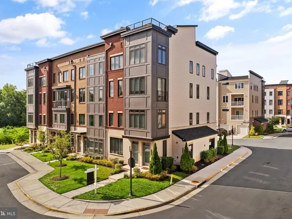 23561 Neersville Corner Ter, Ashburn, VA 20148