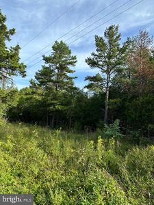 Summerduck Rd, Remington, VA, 22734