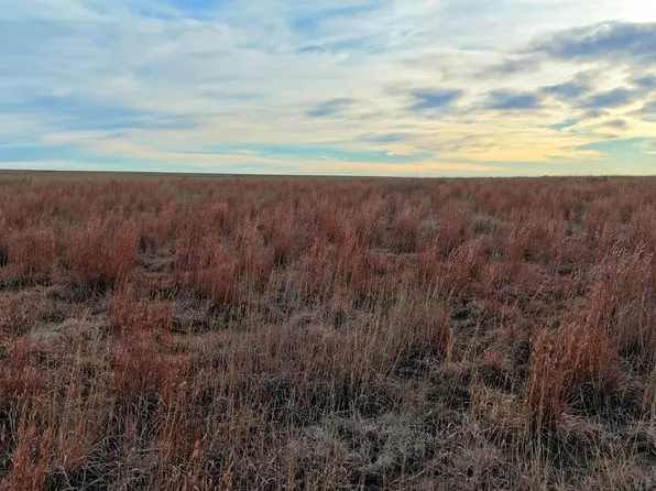 County Road 22, Haswell, CO 81045