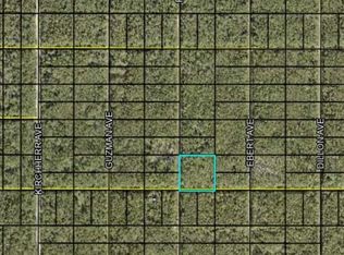 Fred Ave, Hastings, FL 32145