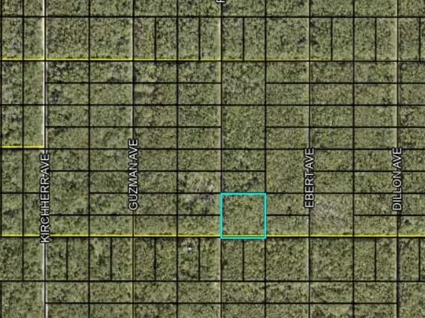 Fred Ave, Hastings, FL 32145