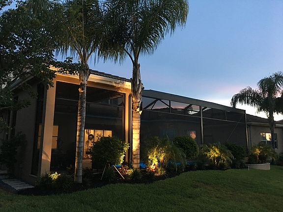 Rear at dawn