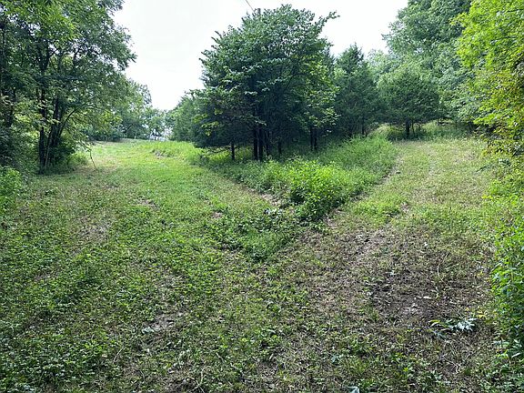 4th image of 527 Dividing Ridge Rd S