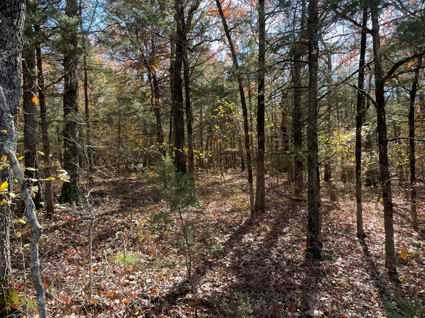 000 Moore'S Bend Road, Cedar Creek, MO 65627