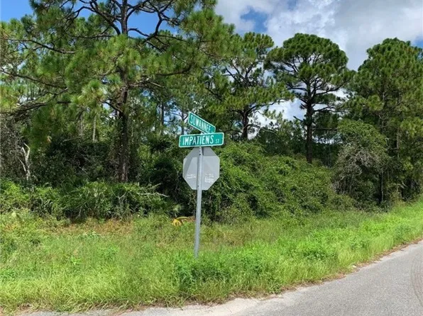 116 Impatiens St, Lake Placid, FL 33852