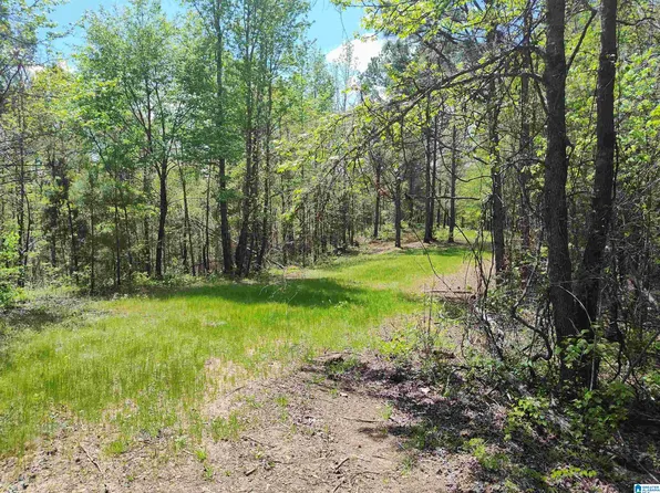 0 Little Tom Rd, Rockford, AL 35136