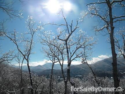 winter view from porch