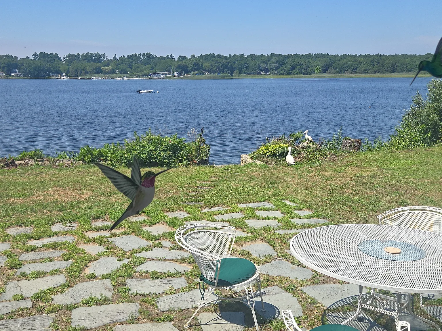 2 bed, 936 sqft, $3,600 — Photo 3