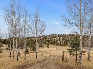 34131 Natural Spring Rd, Pine, CO 80470