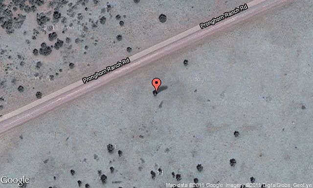 Map View