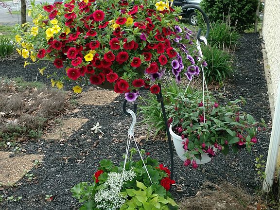 A lovely front flower bed