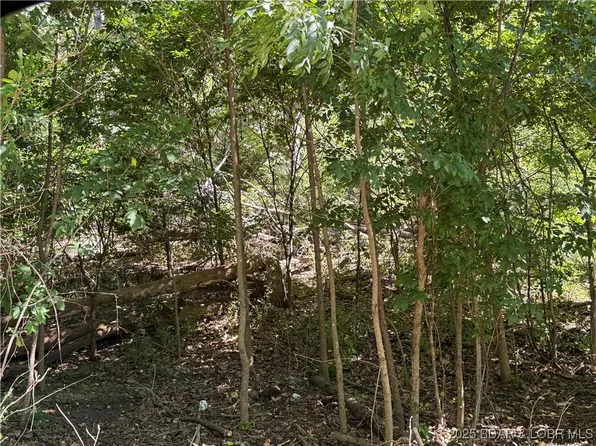 4 Skipper Ln, Camdenton, MO 65020