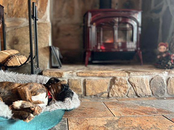 17th image of this home