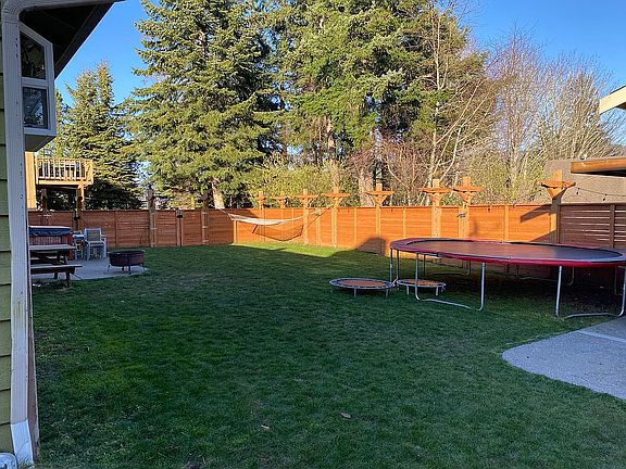 Back yard 