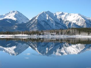 198 Lodge Pole Dr, Twin Lakes, CO 81251