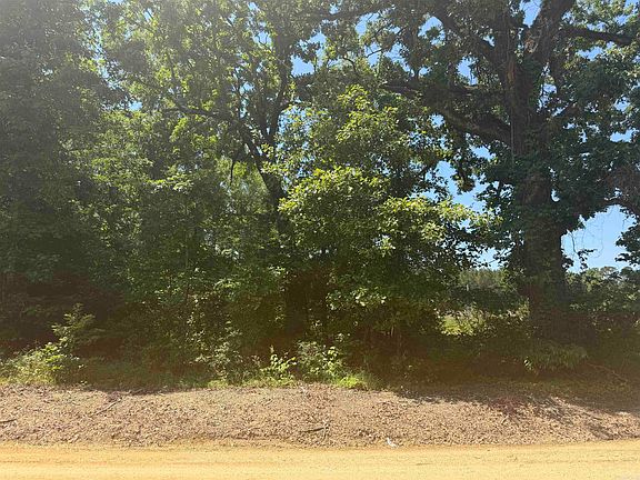 4th image of 158 Sandy Creek Ln