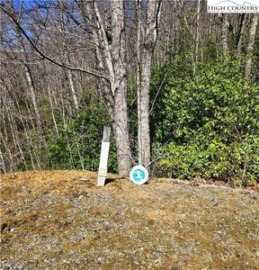 Lot 163 Yosemite Falls Trail, Black Mountain, NC, 28711