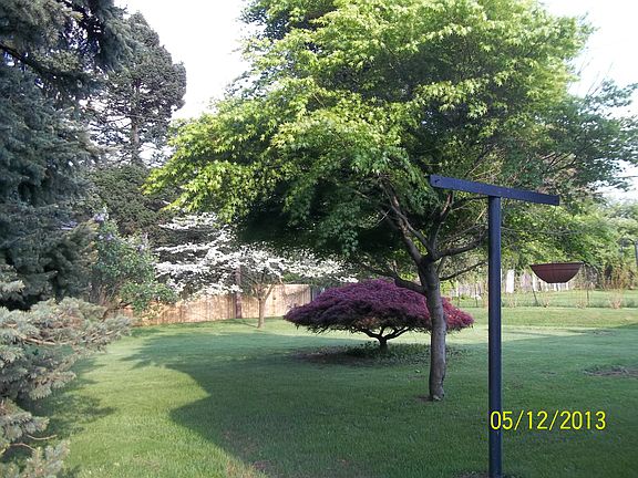 Beautiful back yard