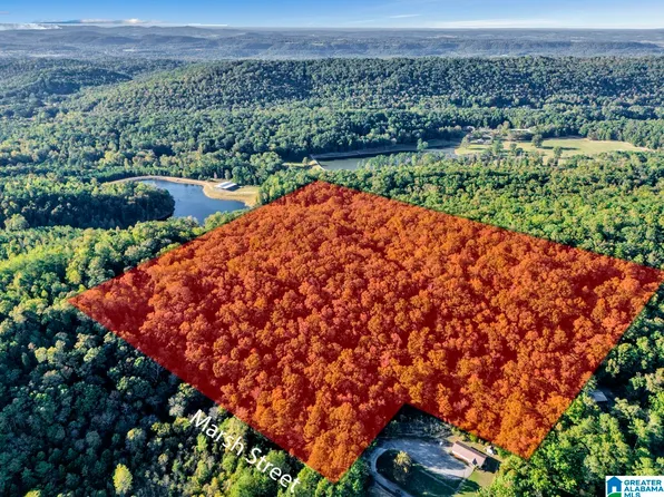 0 Marsh St #1, Oneonta, AL 35121