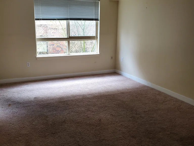 111 108th Ave NE #206 — Photo 22