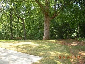 2nd image of 523 Broughton Dr