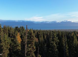 54533 Winchester Ave, Homer, AK 99603