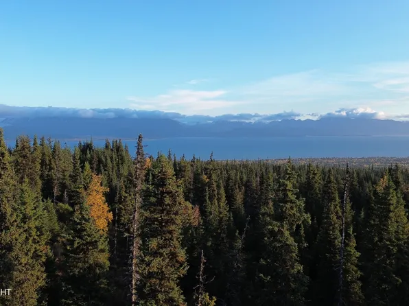54533 Winchester Ave, Homer, AK 99603