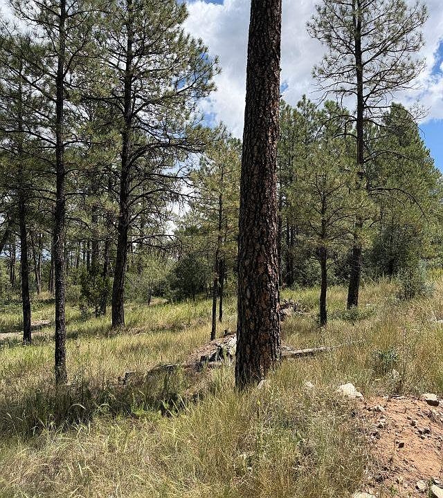 2nd image of Timber Dr