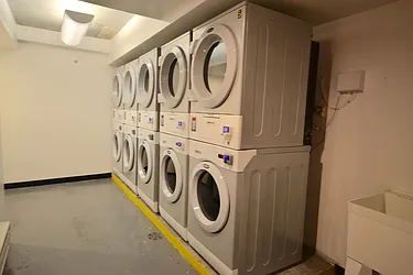 Rented by Bold New York