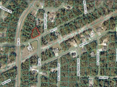 BAY COURT LOT 10, Ocklawaha, FL, 32179