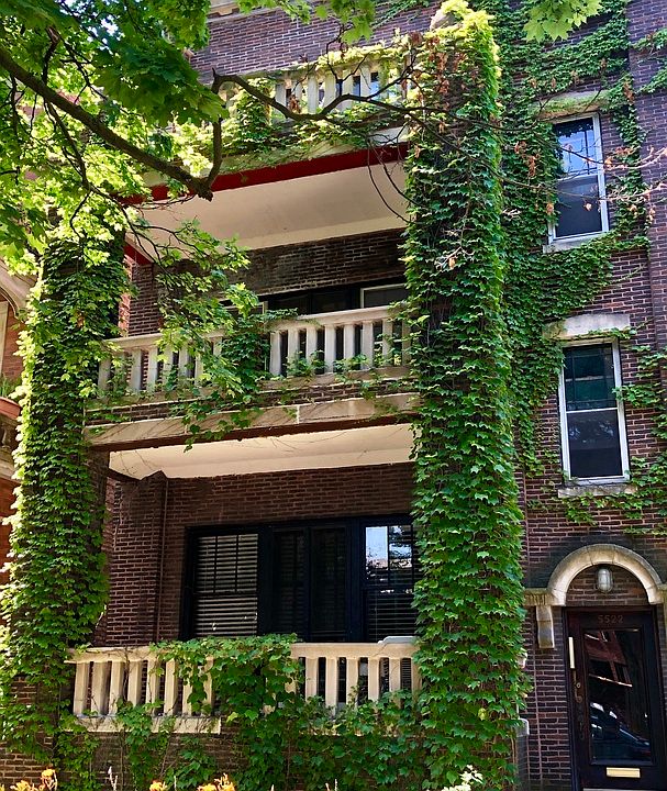 1st image of 5522 S Kimbark Ave #1