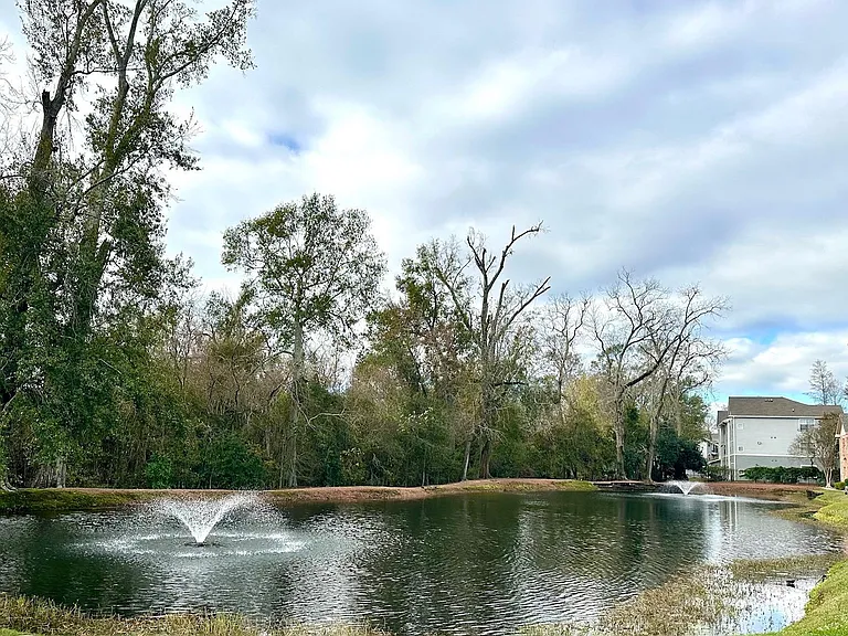 900 Dean Lee Dr #206 — Photo 17