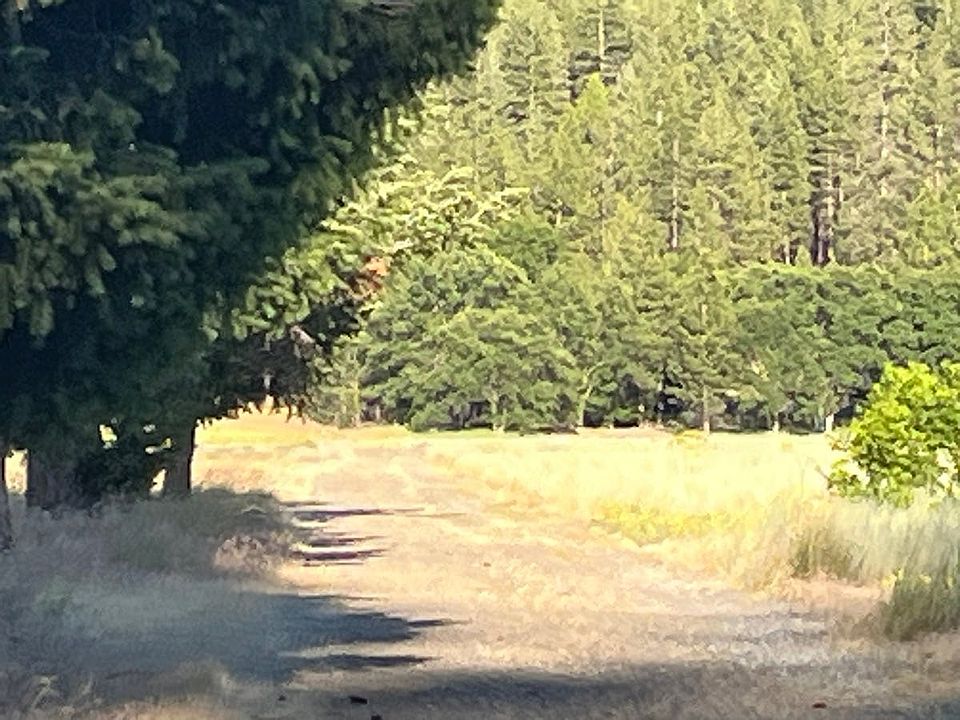 2nd image of 13323 Rattlesnake Creek Rd