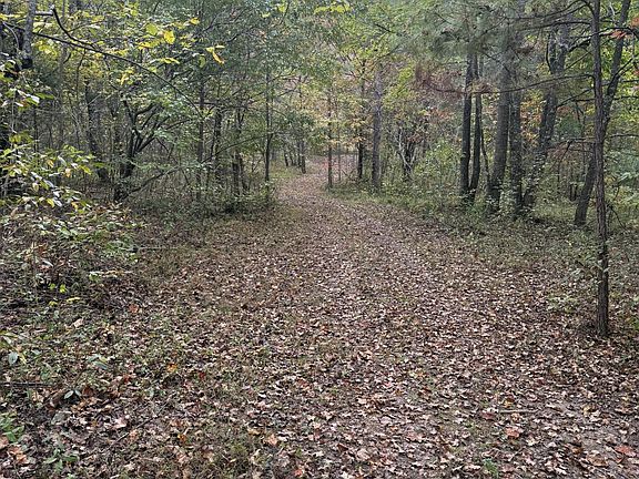 4th image of 646 Brush Creek Rd